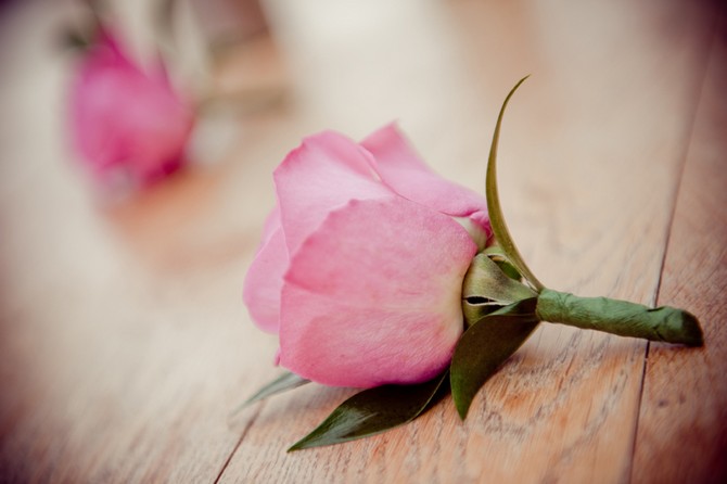 pink rose button hole